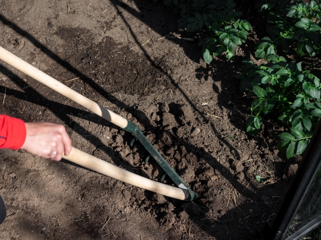 Pourquoi utiliser une grelinette pour cultiver ?