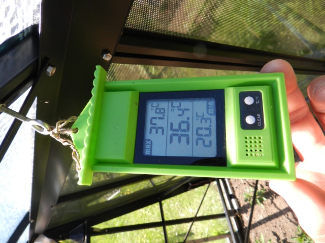 Thermomètre digital dans une serre de jardin