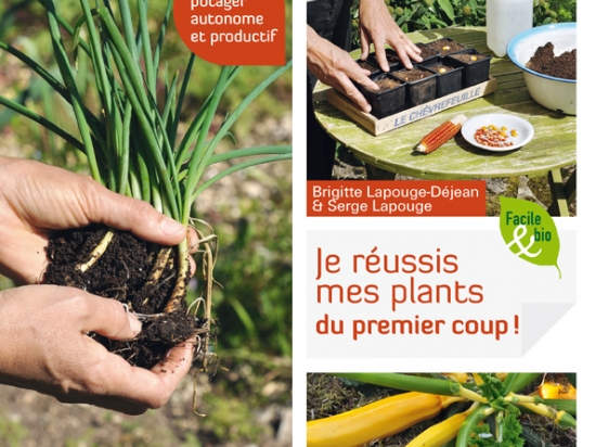 je-reussis-mes-plants-du-premier-coup