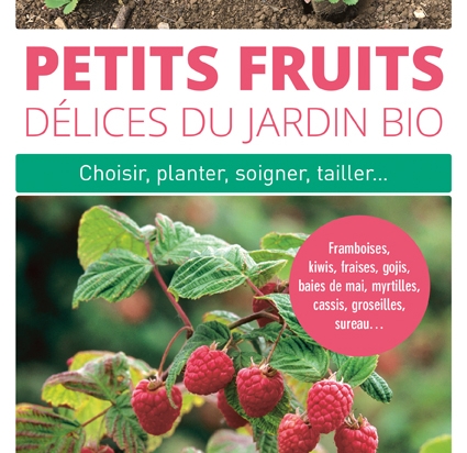 petits-fruits-delices-du-jardin-bio