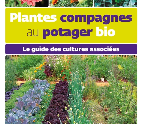 plantes-compagnes-au-potager-bio