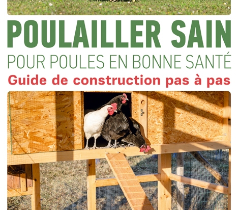 poulailler-sain-pour-poules-en-bonne-sante