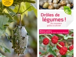 droles-de-legumes