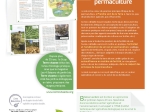 le-sol-en-permaculture-2-900x900