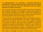 plantes-compagnes-au-potager-bio-2-614x900