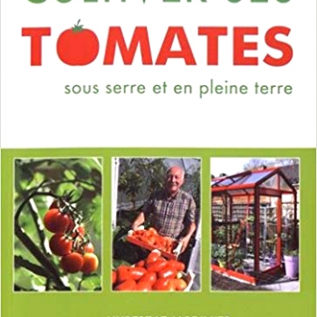 Cultiver ses tomates