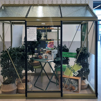 PICCOLO-P03-exposition