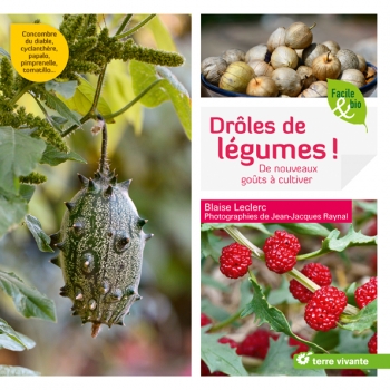 droles-de-legumes