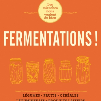 fermentations