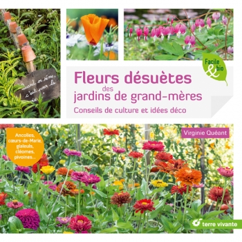 fleurs-desuetes-des-jardins-de-grand-meres