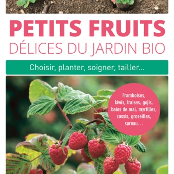 petits-fruits-delices-du-jardin-bio