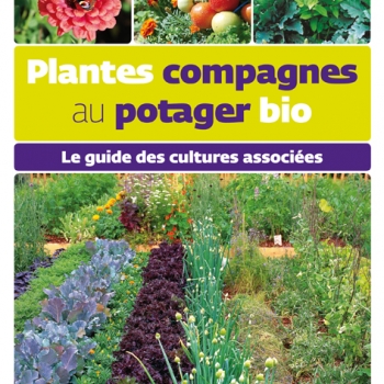 plantes-compagnes-au-potager-bio